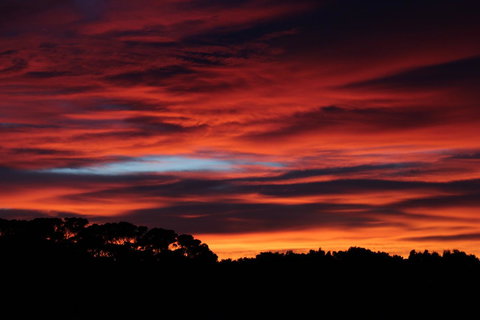 Sapphire Chalets, Augusta - Whitsundays Accommodation 15