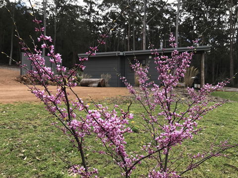 The Floating Forest - Whitsundays Accommodation 15