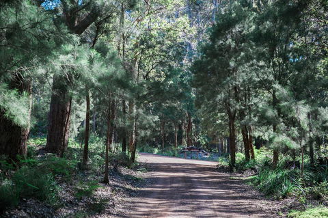 The Floating Forest - Whitsundays Accommodation 30