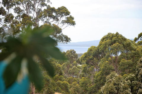 The Floating Forest - Whitsundays Accommodation 8
