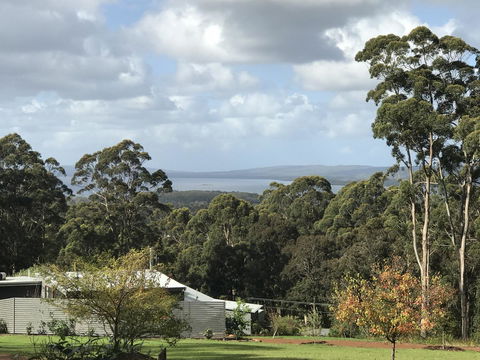The Floating Forest - Whitsundays Accommodation 2