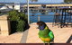 Mandurah Quay Resort - thumb 32