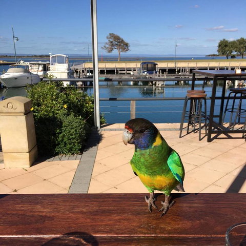 Mandurah Quay Resort - Whitsundays Accommodation 32