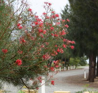 The Heights Bed  Breakfast - Whitsundays Accommodation