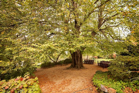 Nesuto Leura Gardens (formerly Waldorf Leura Gardens Resort) - Whitsundays Accommodation 1