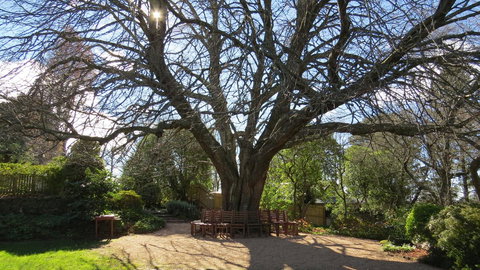 Nesuto Leura Gardens (formerly Waldorf Leura Gardens Resort) - Whitsundays Accommodation 3