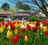 Nesuto Leura Gardens formerly Waldorf Leura Gardens Resort - Whitsundays Accommodation