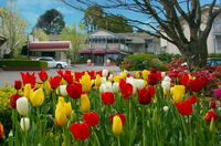 Book Leura Accommodation Vacations Whitsundays Accommodation Whitsundays Accommodation