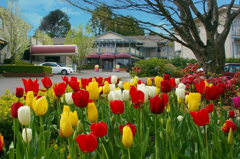 Nesuto Leura Gardens (formerly Waldorf Leura Gardens Resort) - Whitsundays Accommodation 0