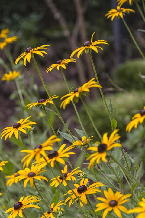 Nesuto Leura Gardens (formerly Waldorf Leura Gardens Resort) - Whitsundays Accommodation 15