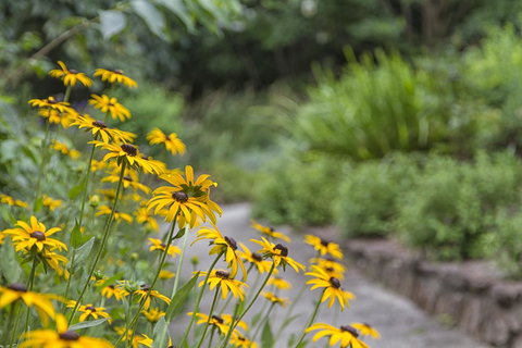 Nesuto Leura Gardens (formerly Waldorf Leura Gardens Resort) - Whitsundays Accommodation 16