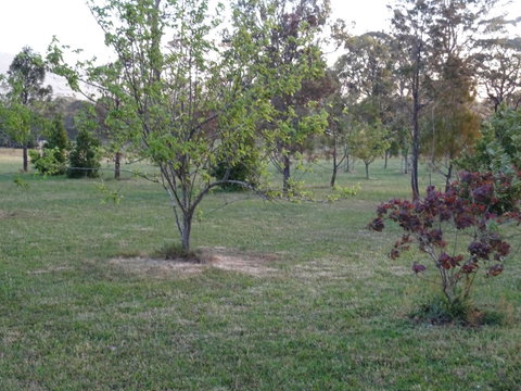 Romanz In The Valley (Luxury B&B) - Whitsundays Accommodation 32