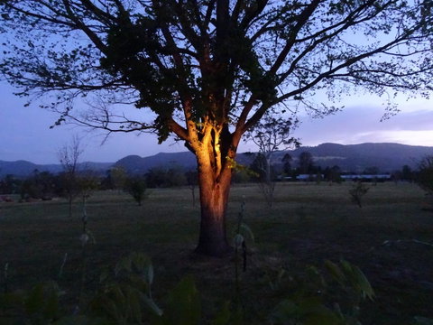 Romanz In The Valley (Luxury B&B) - Whitsundays Accommodation 36