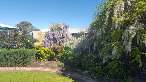 Almond Inn - Whitsundays Accommodation 28