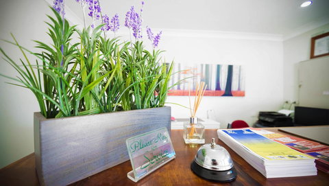 Almond Inn - Whitsundays Accommodation 6