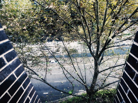 DD Apartments On Day - Whitsundays Accommodation 35