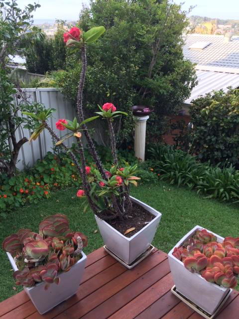 Churchill View Forster - Whitsundays Accommodation 11