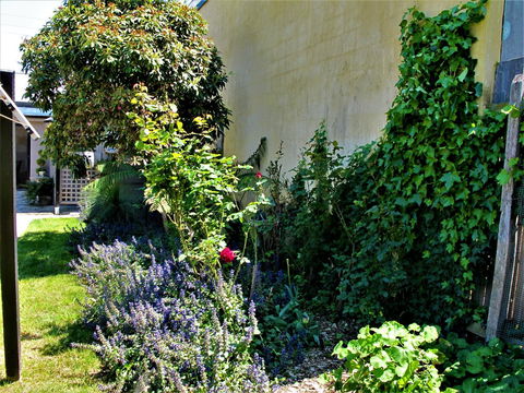 Apple Tree Cottage - Whitsundays Accommodation 24