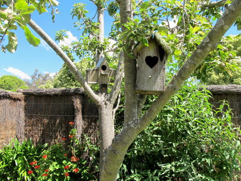 Apple Tree Cottage - Whitsundays Accommodation 28