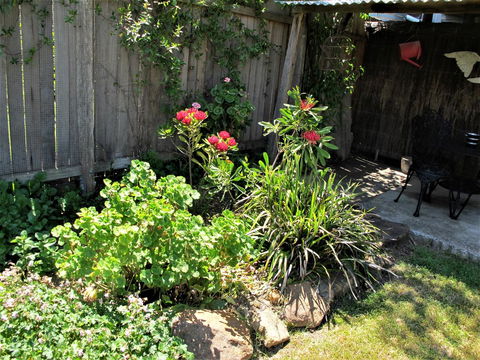 Apple Tree Cottage - Whitsundays Accommodation 26