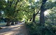 The Botanical 201 - thumb 17