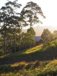 Book Bawley Point Accommodation Vacations Whitsundays Accommodation Whitsundays Accommodation