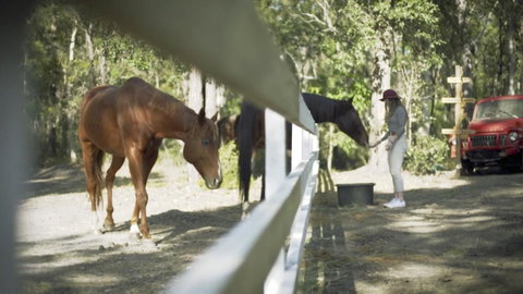 The Woods Farm Jervis Bay - Whitsundays Accommodation 13