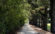 Terara Riverside Retreat - thumb 26