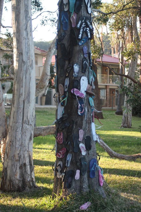 Ambience - Whitsundays Accommodation 33