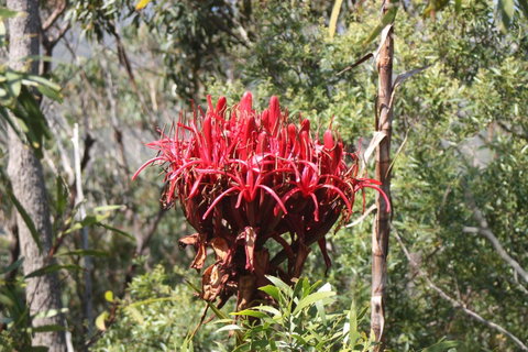 Ambience - Whitsundays Accommodation 30