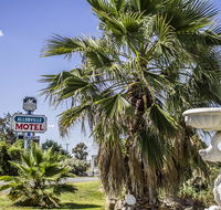 Allonville Gardens Motel - Whitsundays Accommodation