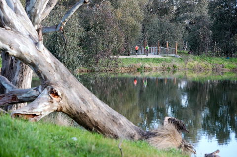 Mercure Albury - Whitsundays Accommodation 15