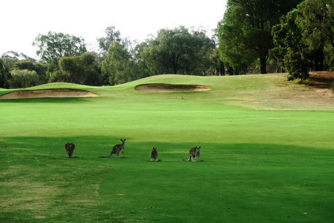 Mulwala Resort - Whitsundays Accommodation 40