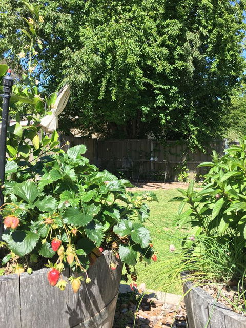 99 Hill Street Apartments - Whitsundays Accommodation 24