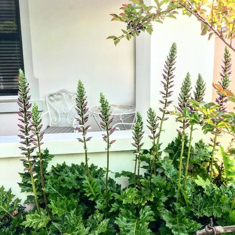 99 Hill Street Apartments - Whitsundays Accommodation 20