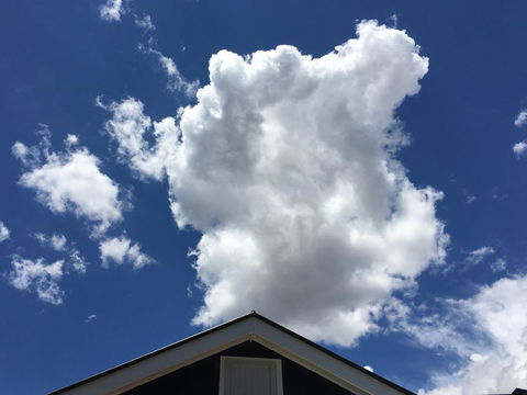 99 Hill Street Apartments - Whitsundays Accommodation 18