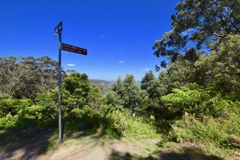 Dangal Gardens - Whitsundays Accommodation 30