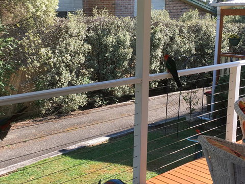 The Best Exotic Magnolia Cottage - Whitsundays Accommodation 15