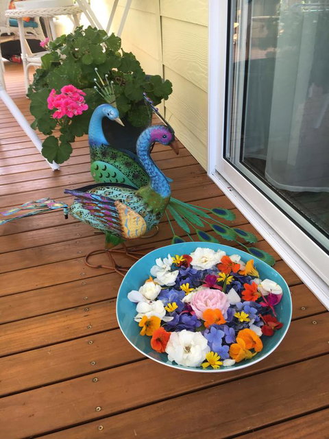 The Best Exotic Magnolia Cottage - Whitsundays Accommodation 8