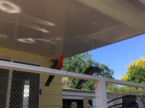 The Best Exotic Magnolia Cottage - Whitsundays Accommodation 11