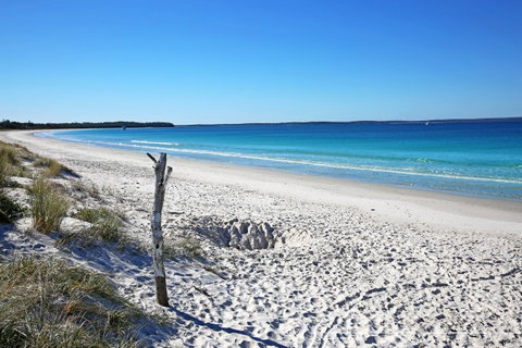 Sandy Toes Beach House Jervis Bay - 2min To Beach - Whitsundays Accommodation 22