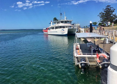 Sandy Toes Beach House Jervis Bay - 2min To Beach - Whitsundays Accommodation 26