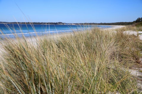 Sandy Toes Beach House Jervis Bay - 2min To Beach - Whitsundays Accommodation 23
