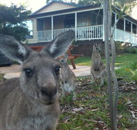 Bush  Bay Cottage - Whitsundays Accommodation