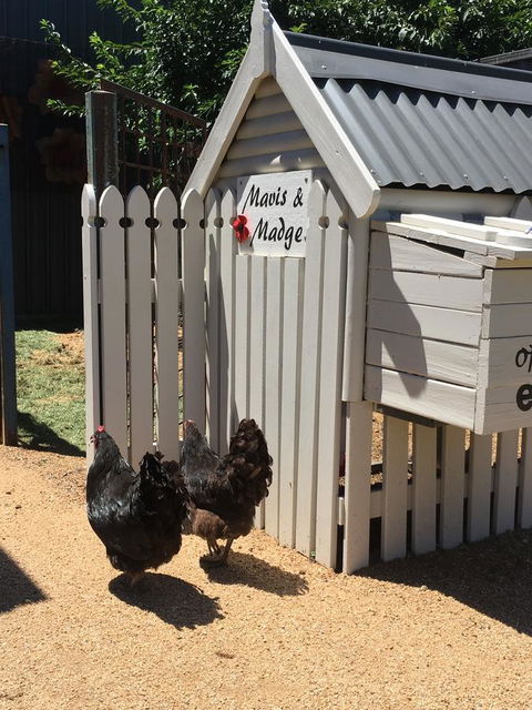 Thelma's Temora - Whitsundays Accommodation 12