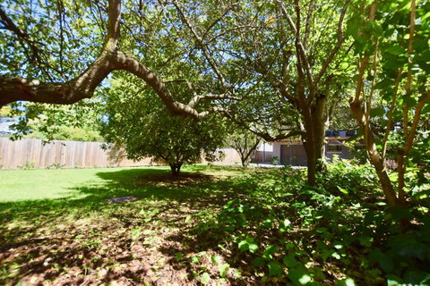 Wildlife Lodge Katoomba - Whitsundays Accommodation 26
