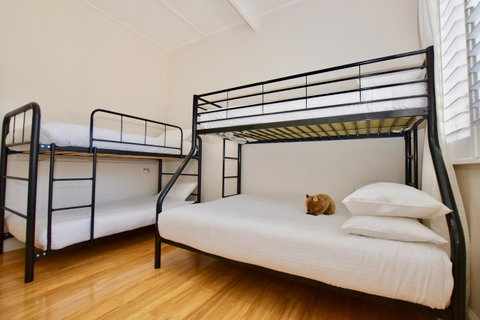 Wildlife Lodge Katoomba - Whitsundays Accommodation 7