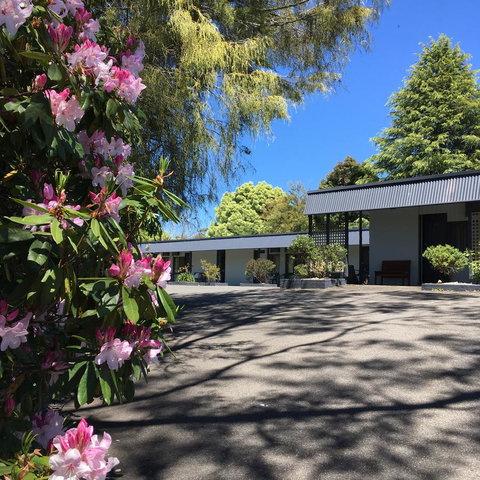 Sky Rider Motor Inn - Whitsundays Accommodation 14