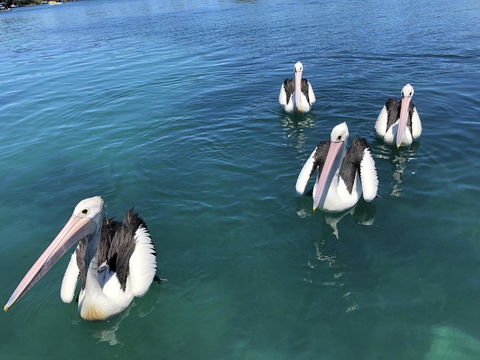 Aquarius 9 - Whitsundays Accommodation 4