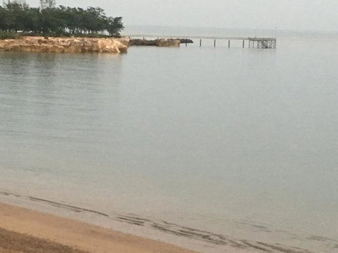 Nightcliff Foreshore Getaway - McKay Gardens - Whitsundays Accommodation 27